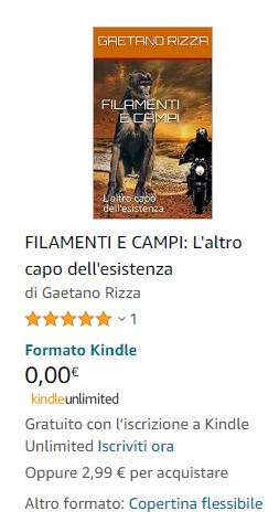 Filamenti e Campi, libro di Gaetano Rizza